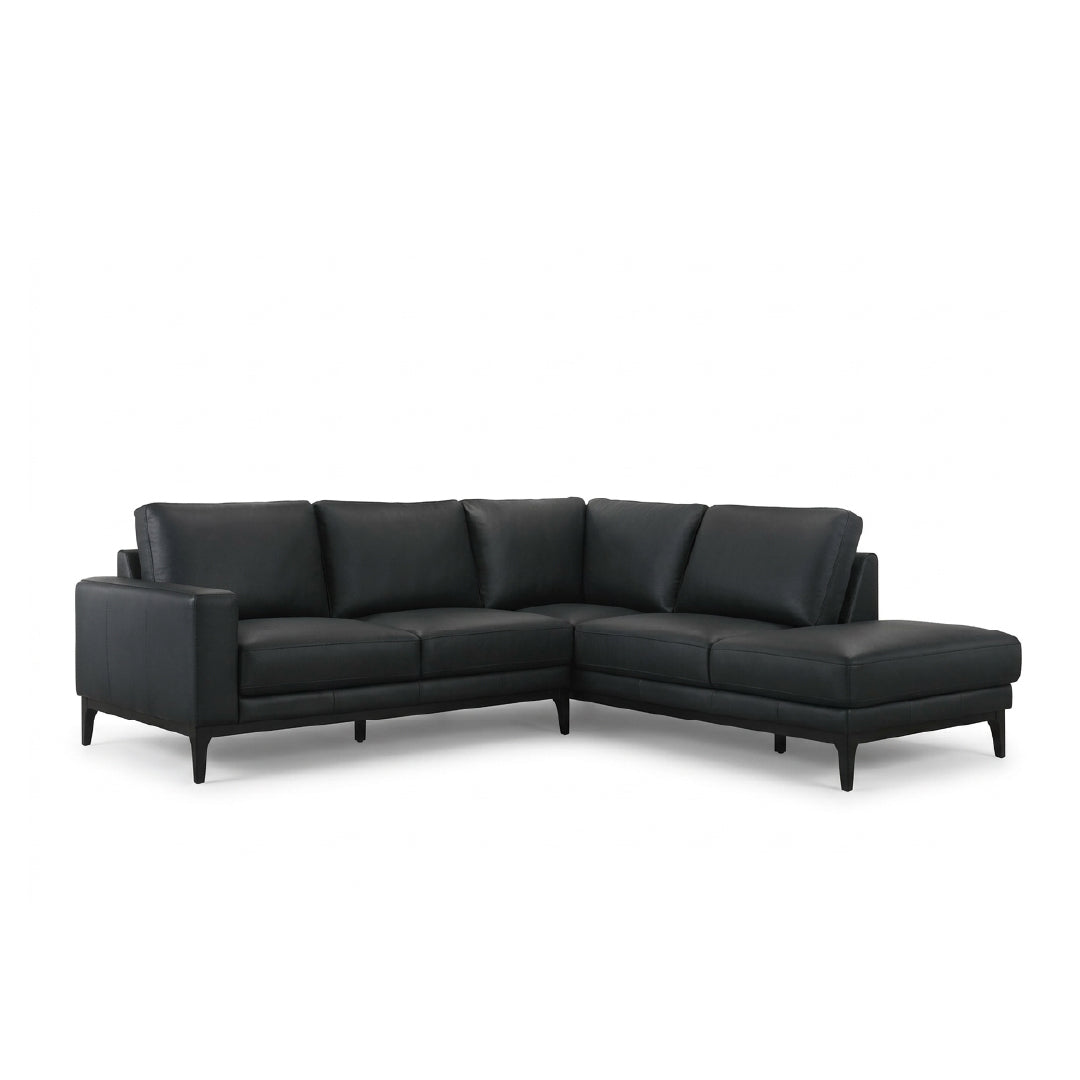 New Furniture
