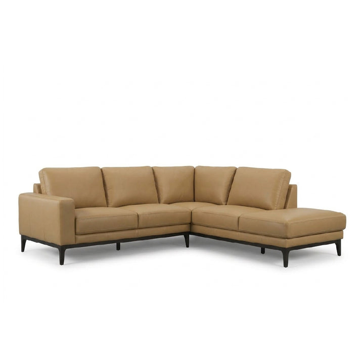 A modern sectional sofa in tan leather with a right-facing chaise lounge and dark wood legs, shown against a plain white background.