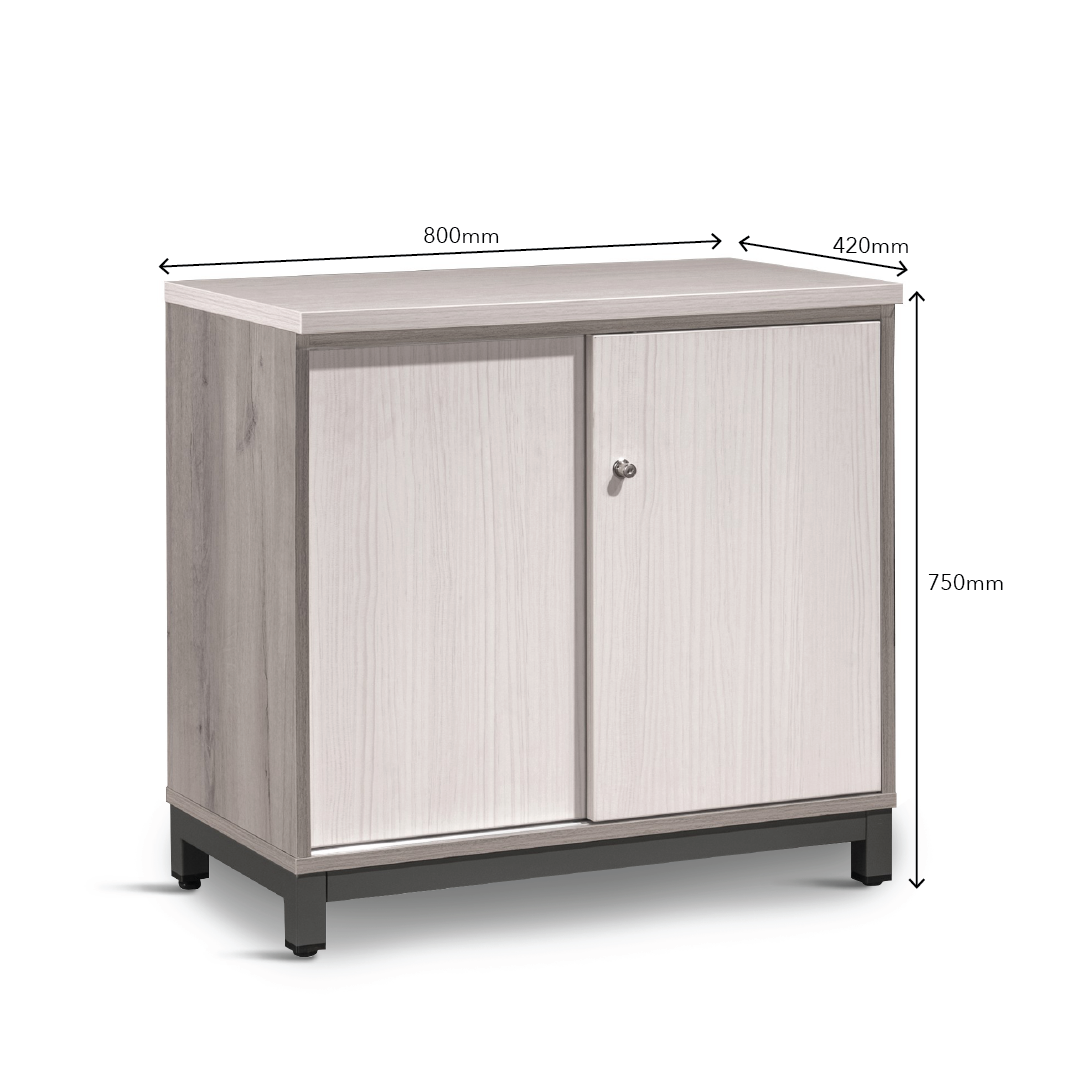 MAXVIN Sliding Door Cabinet