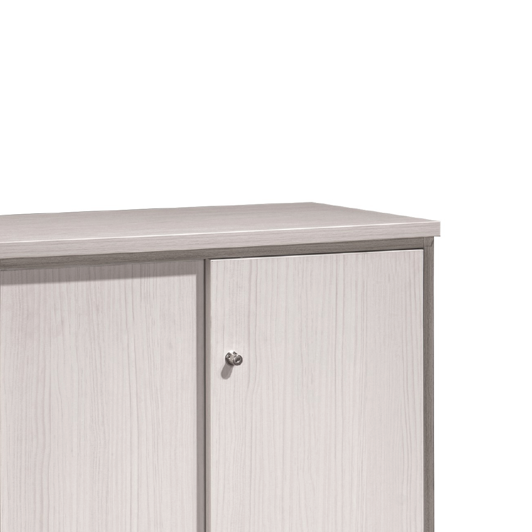 MAXVIN Sliding Door Cabinet