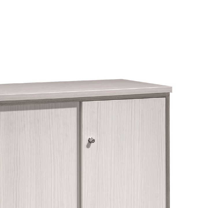 MAXVIN Sliding Door Cabinet