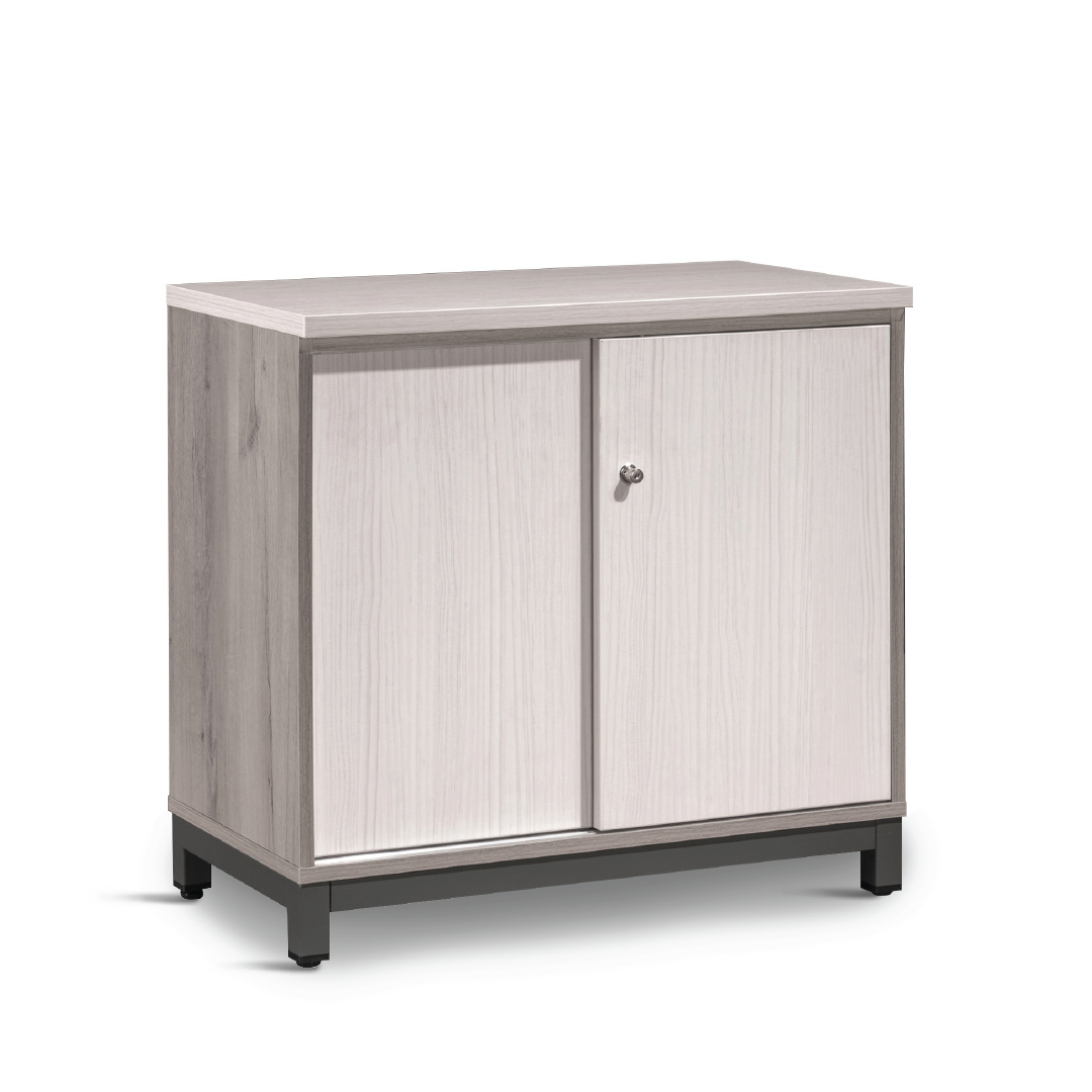 MAXVIN Sliding Door Cabinet