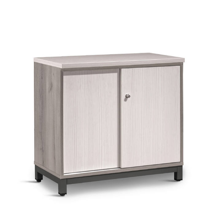 MAXVIN Sliding Door Cabinet