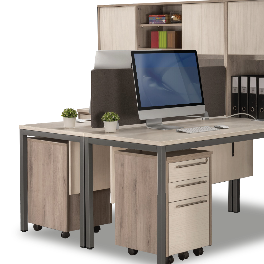 MAXVIN Workstation with Hutch + Pedastal (Cluster of 2)