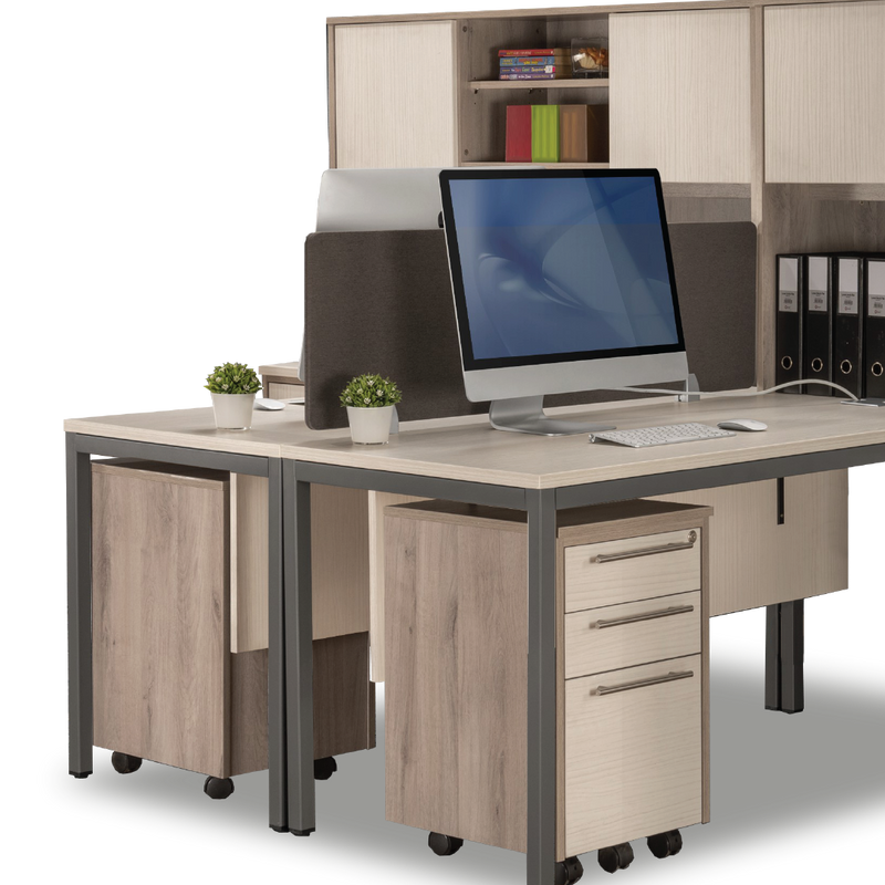 MAXVIN Workstation with Hutch + Pedastal (Cluster of 2)