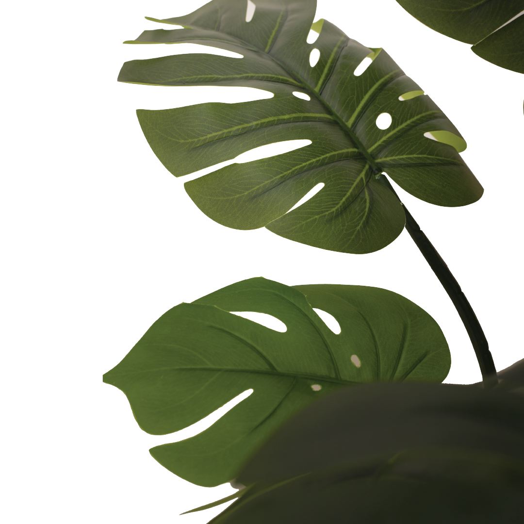 MONSTERA II Tree