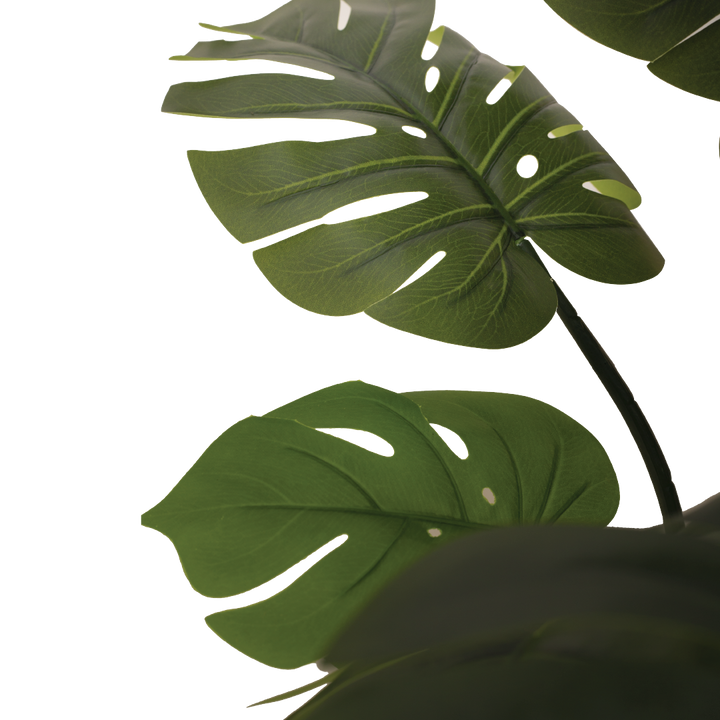 MONSTERA II Tree