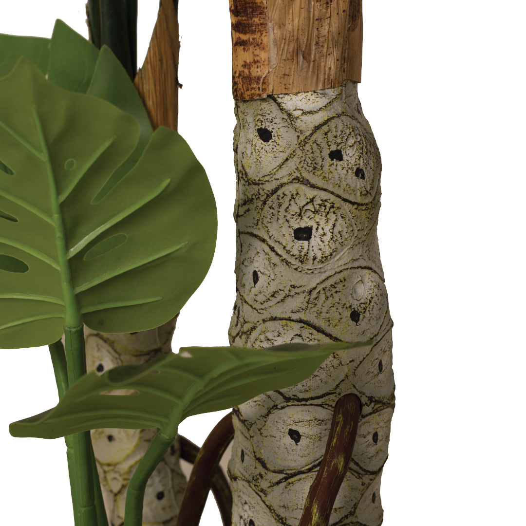 MONSTERA II Tree