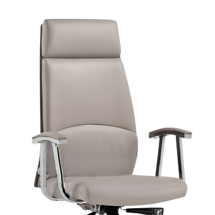 OCRA Executive Office Chair