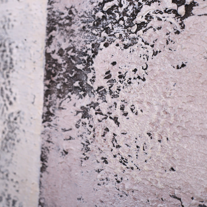 THE ONIMAGERY Oil Painting