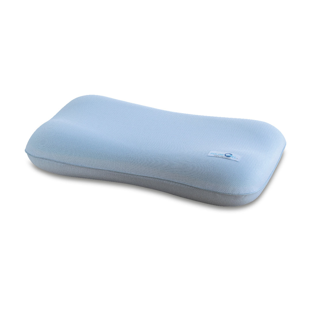 POLARGEL Ergotech Pillow