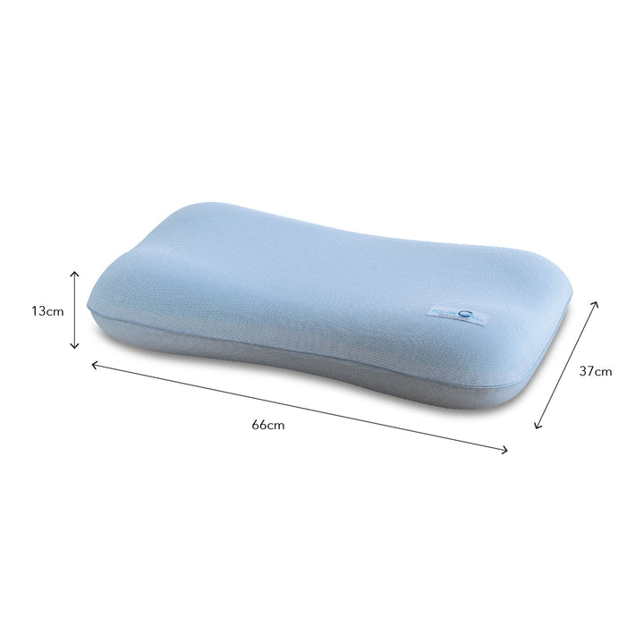 POLARGEL Ergotech Pillow