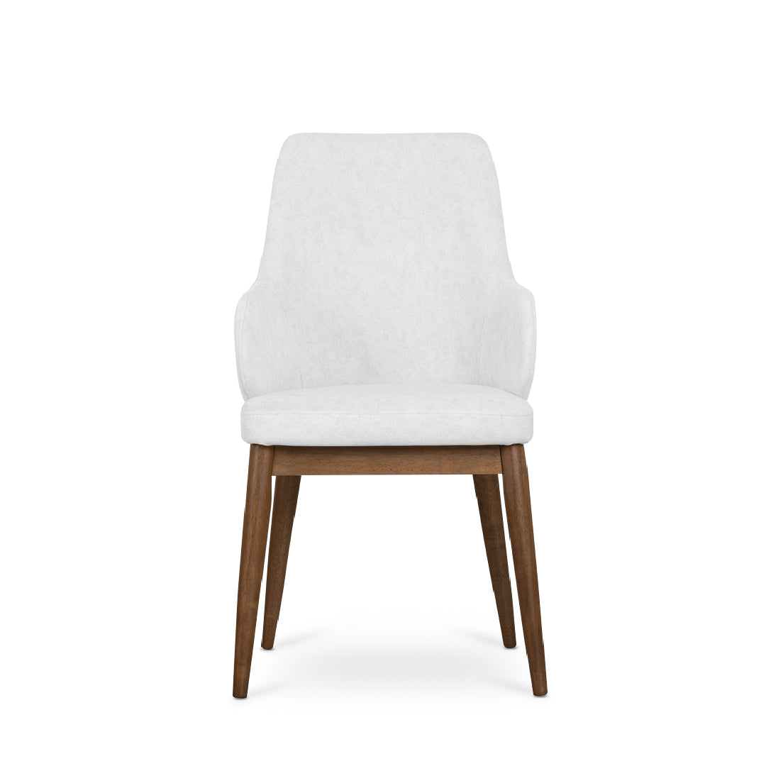 PRESTON Arm Dining Chair