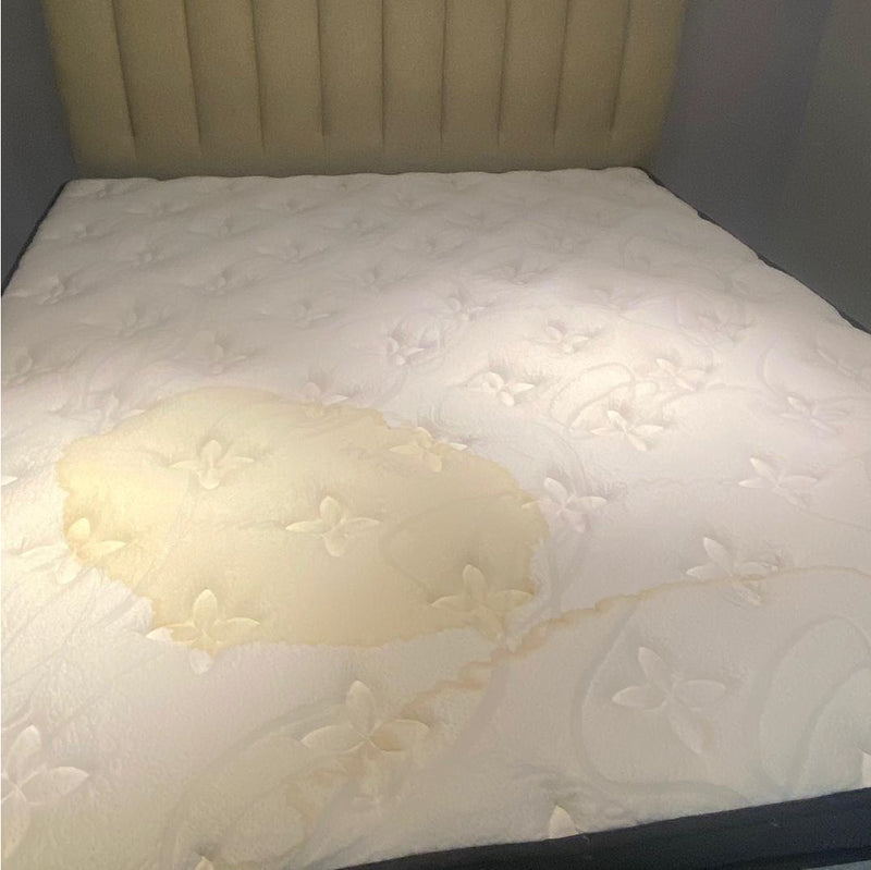 PREMIER Deluxe Queen Mattress