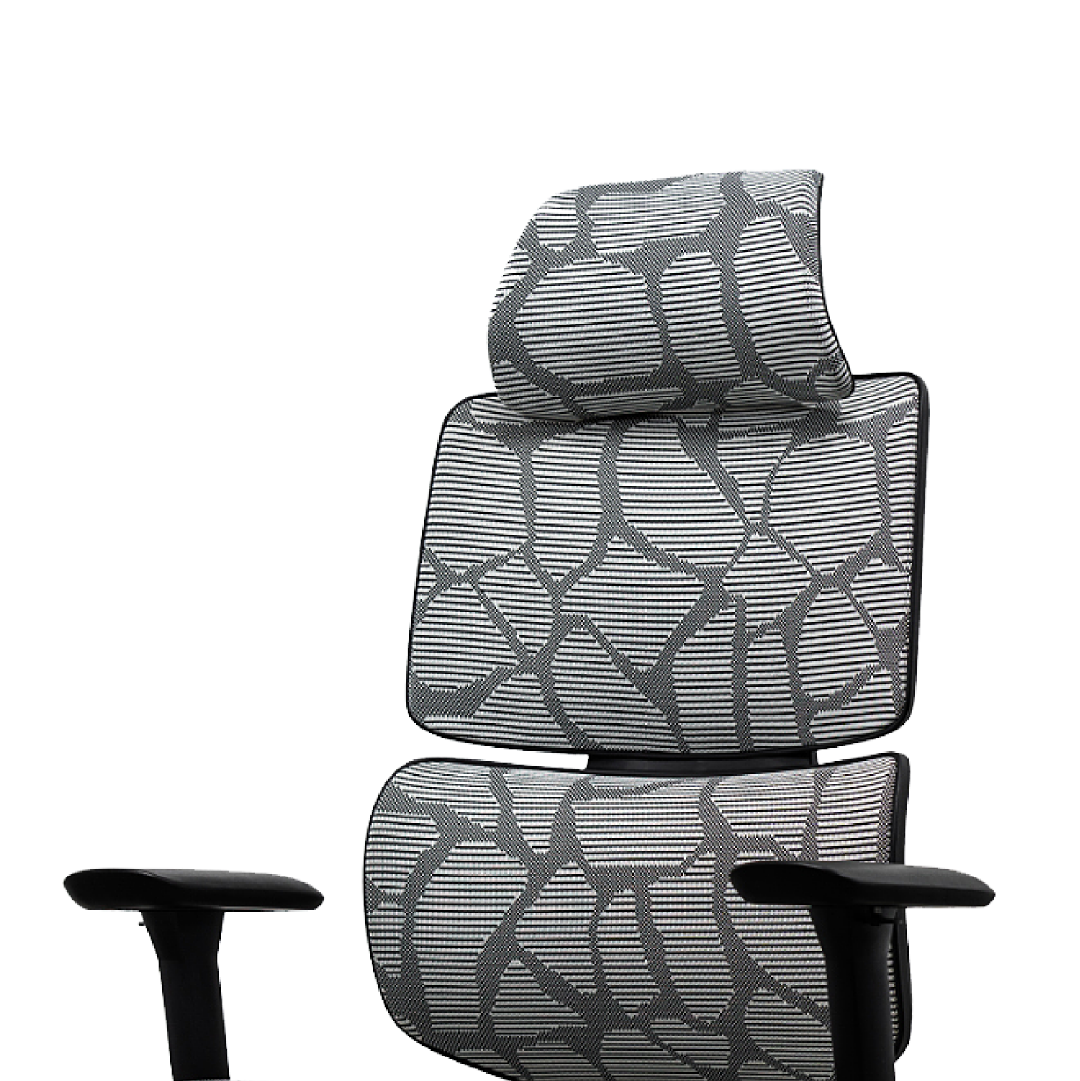 EVIS Ergox Executive Office Chair Shaded Grey