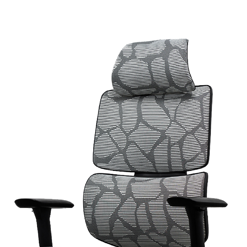 EVIS Ergox Executive Office Chair Shaded Grey