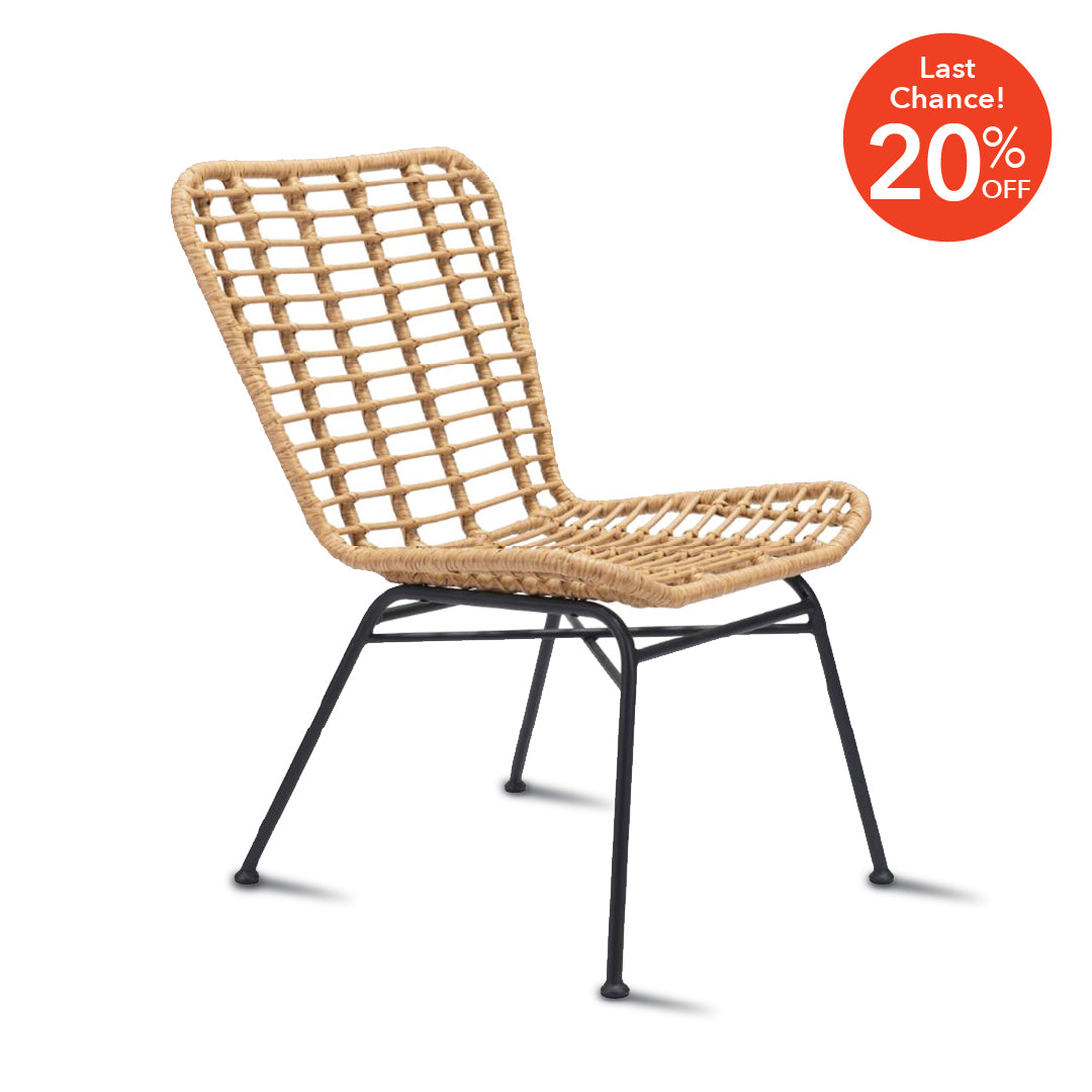 RANDY Dining Chair PE Rattan