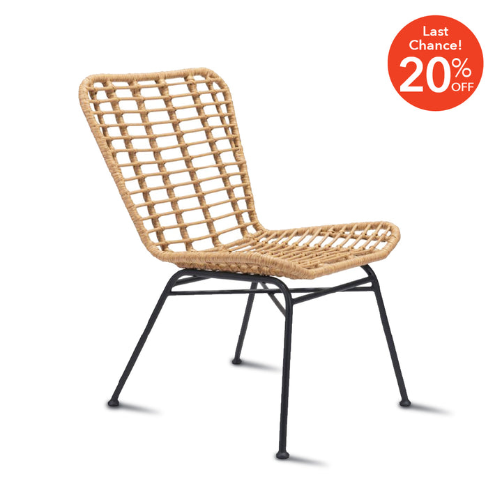 RANDY Dining Chair PE Rattan