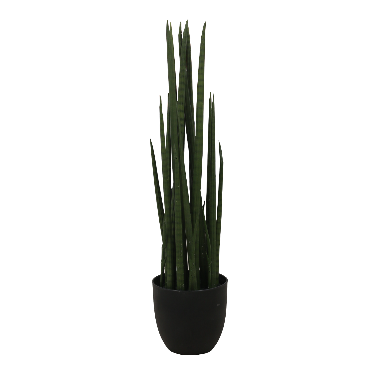 sansevieria cylindrica artificial SANSEVIERIA CYLINDRICA Tree – MAJUHOME eStore