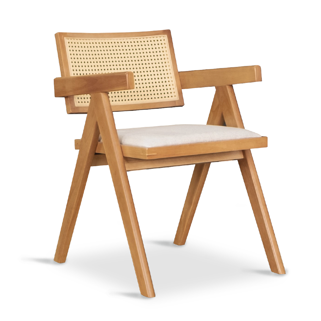 SCHWAN Arm Chair