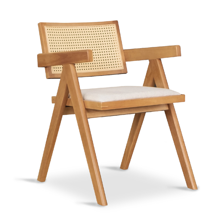SCHWAN Arm Chair