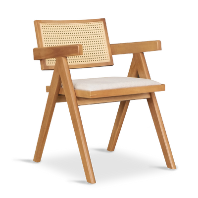 SCHWAN Arm Chair