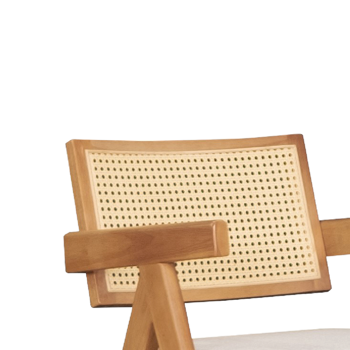 SCHWAN Arm Chair