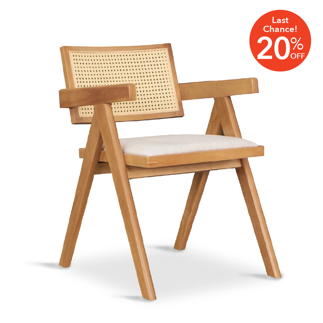 SCHWAN Arm Chair