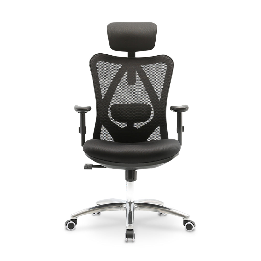 LAPPE Ergonomic High Back Office Chair