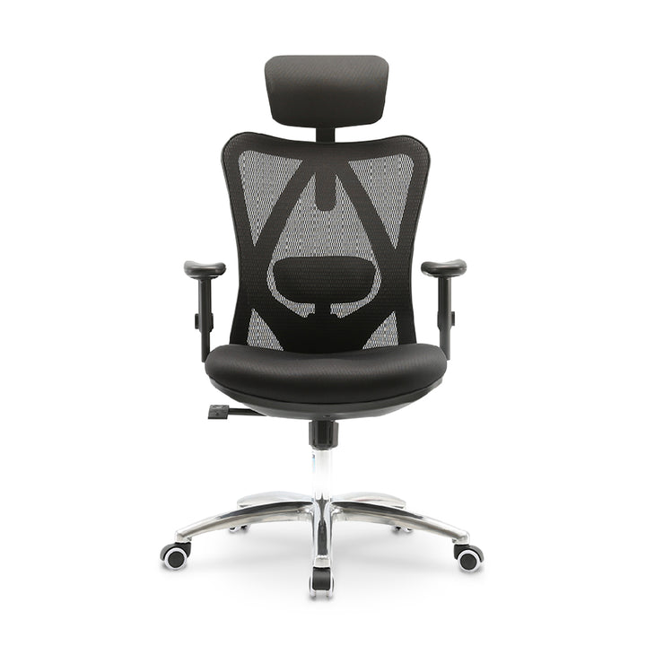 LAPPE Ergonomic High Back Office Chair