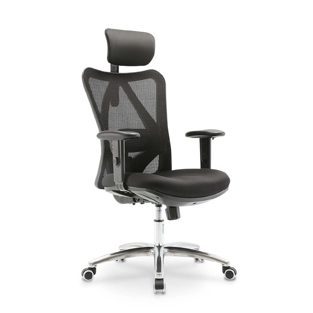 LAPPE Ergonomic High Back Office Chair