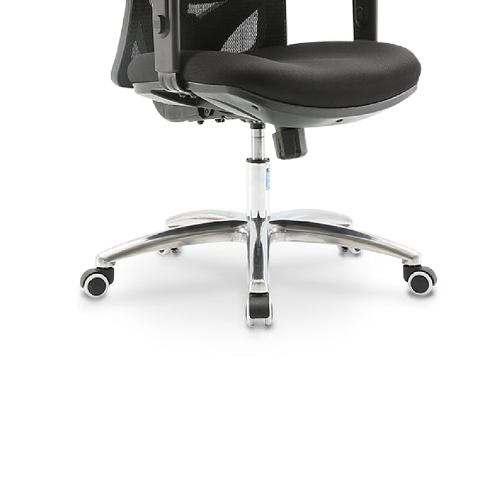 LAPPE Ergonomic High Back Office Chair