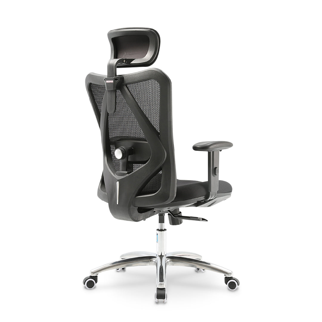 LAPPE Ergonomic High Back Office Chair