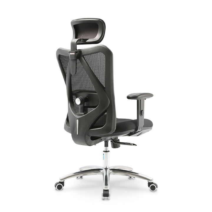 LAPPE Ergonomic High Back Office Chair