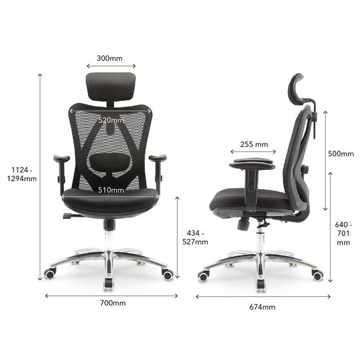 LAPPE Ergonomic High Back Office Chair