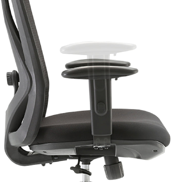 LAPPE Ergonomic High Back Office Chair