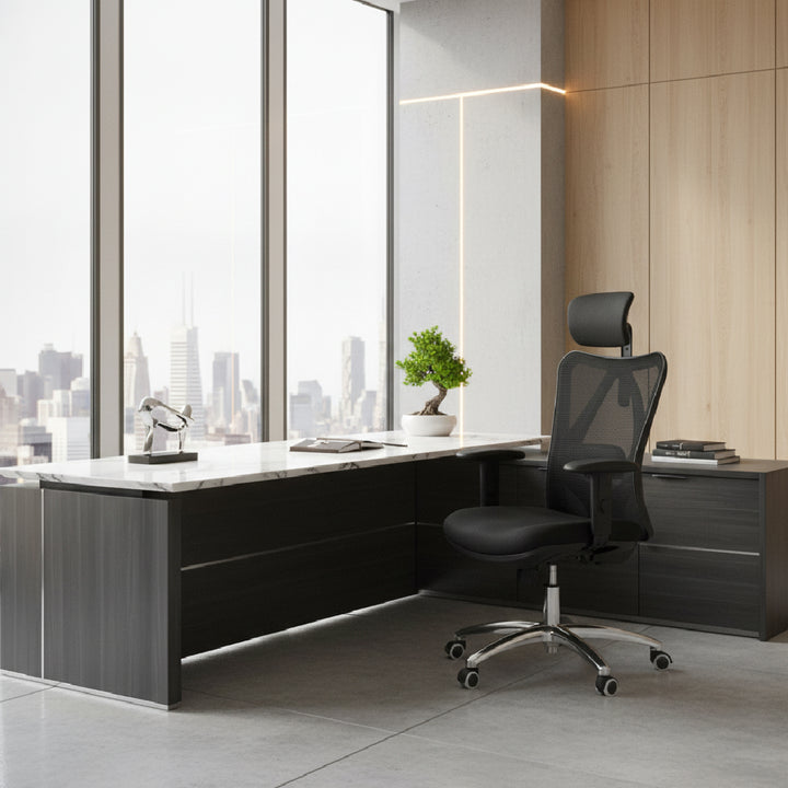LAPPE Ergonomic High Back Office Chair