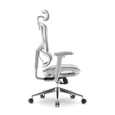 SIHOO High Back Premium Gray Office Chair