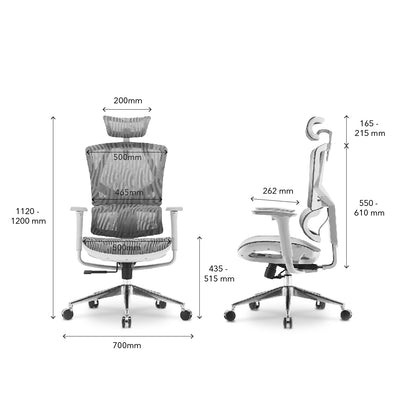 SIHOO High Back Premium Gray Office Chair