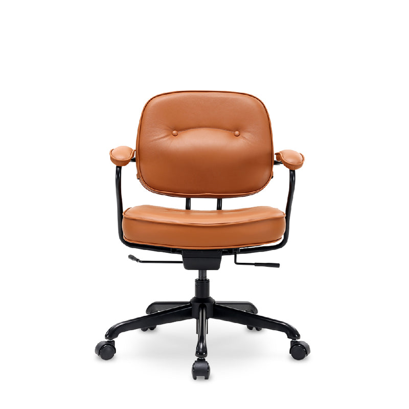 SIHOO Premium Low Back Office Chair