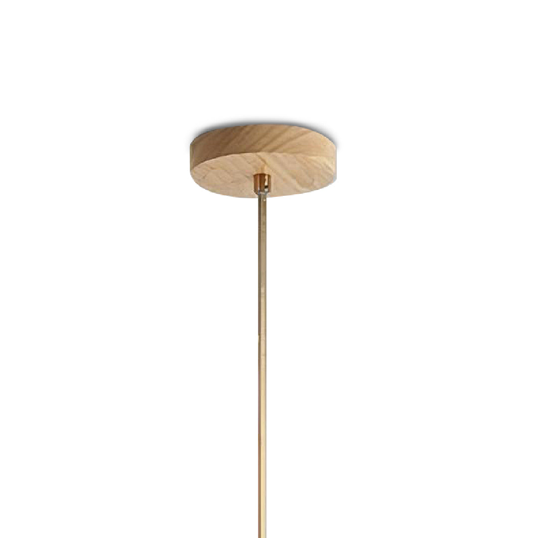 TROPIKA III Hanging Pendant Light