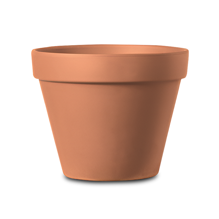 VASO Standard Claypot