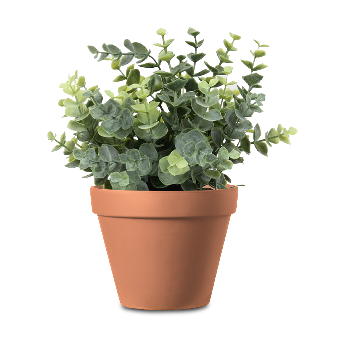 VASO Standard Claypot