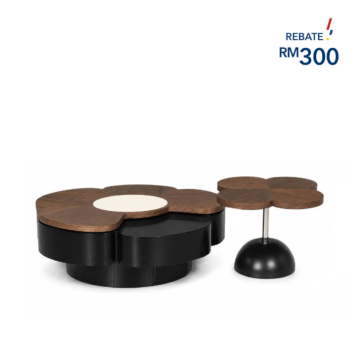 YANET Coffee Table Set