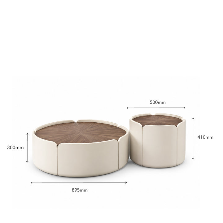 YULIYA Coffee Table Set