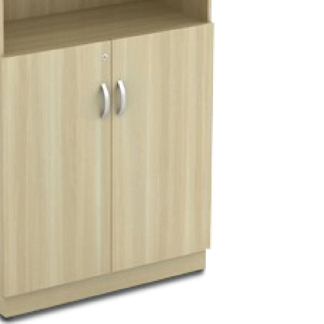 ZINOV Swinging File Semi Door Cabinet