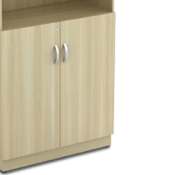 ZINOV Swinging File Semi Door Cabinet