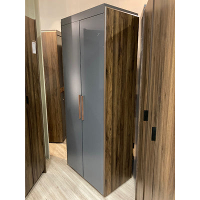 CASPIAN 2 Door Wardrobe