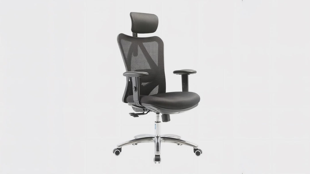 LAPPE Ergonomic High Back Office Chair