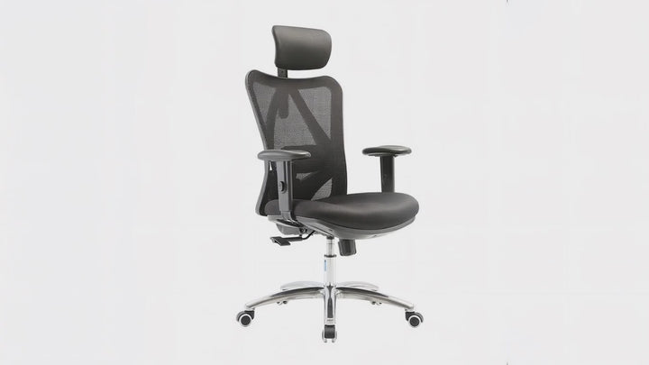 LAPPE Ergonomic High Back Office Chair